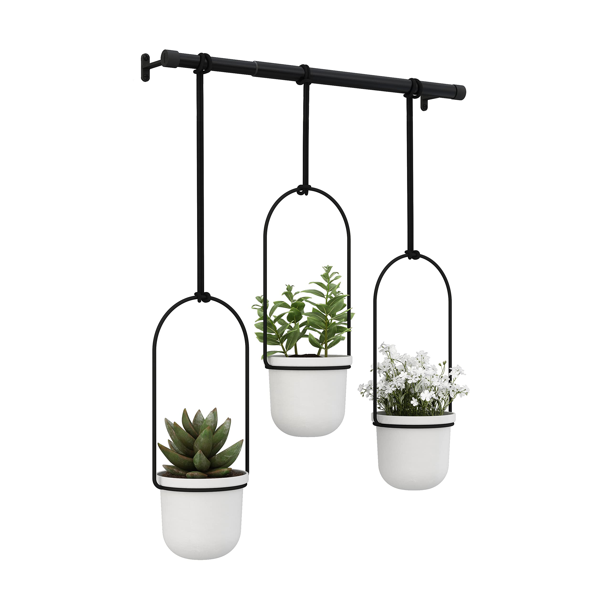 Umbra Triflora Hanging Planter for Window