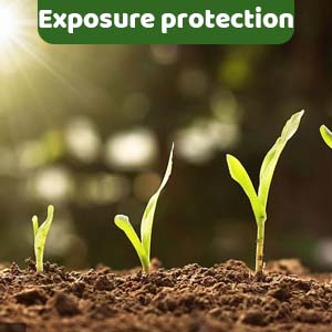 plant covers freeze protection large