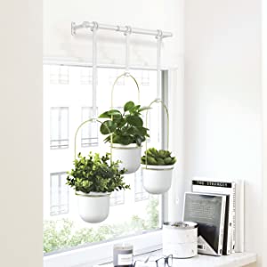 hanging planter, hanging planters for indoor plants, hanging planters indoors, wall planters