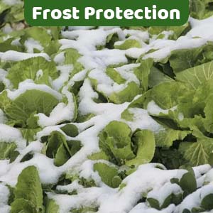 tree covers freeze protection