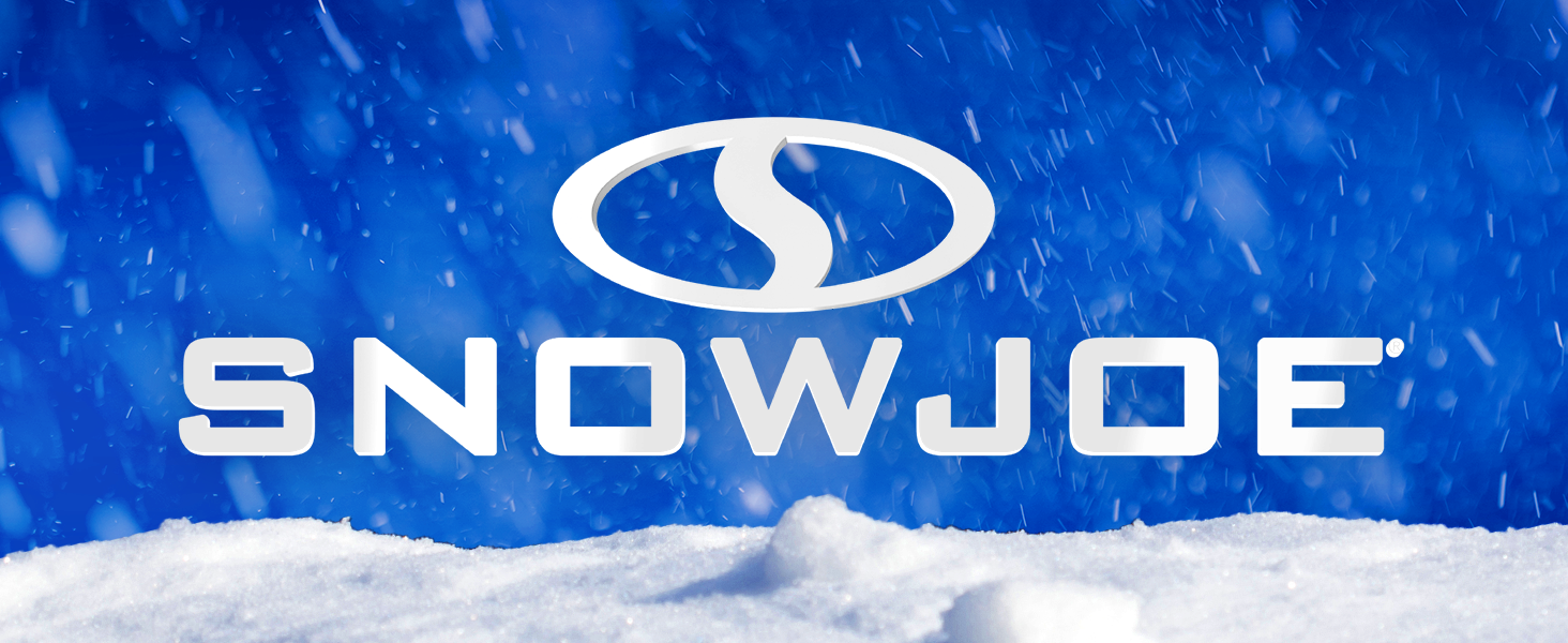snow logo