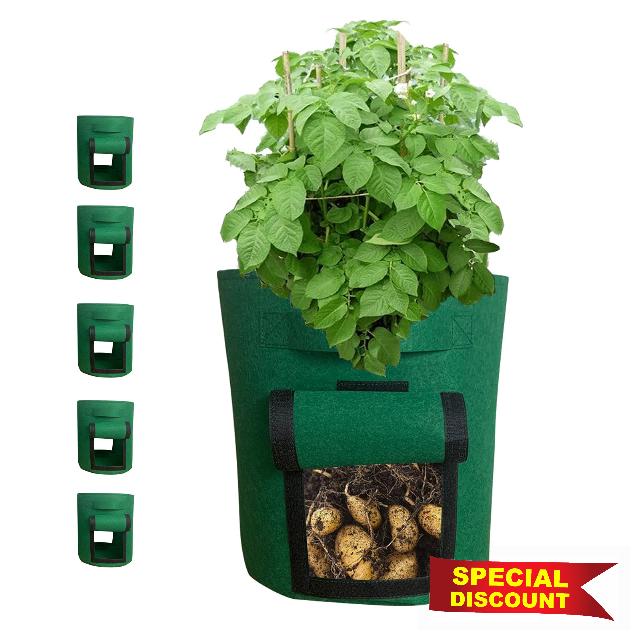 10 Gallon Grow Bags