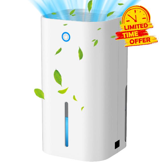 Dehumidifiers for Home