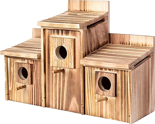 Outdoor 3 Hole Bird House Room for 3 Bird Families Bluebird Finch Cardinals Hanging Birdhouse for Garden (Style 2)