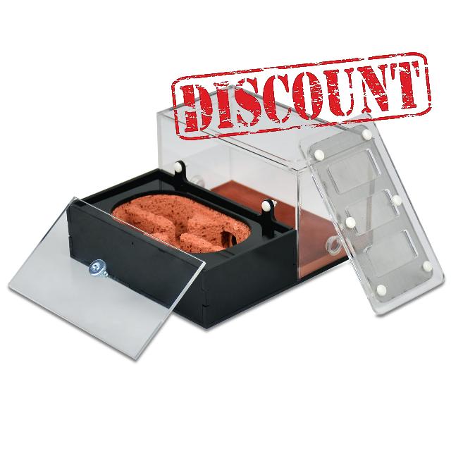 PAEOUT Ant Farm Starter Kit for Kids and Adults