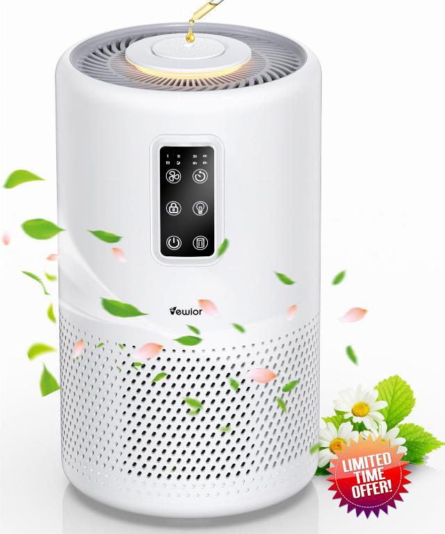 Air Purifiers for Home Large Room