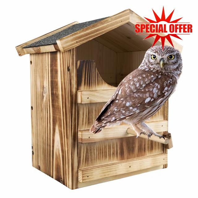 Owl House