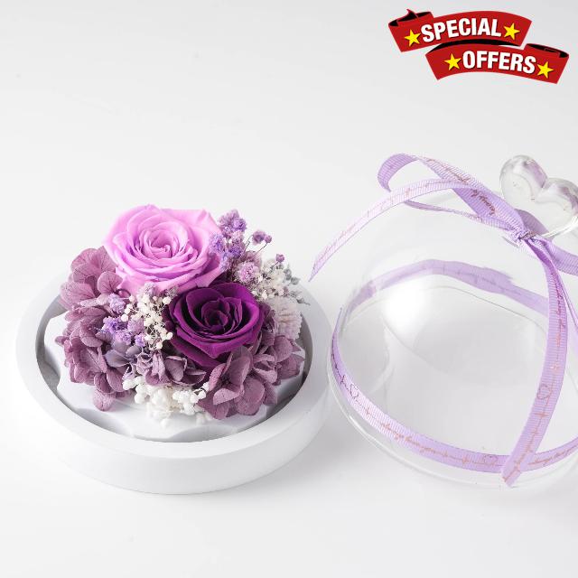 GoeJardin 2 Small Preserved Roses with LED Lighting
