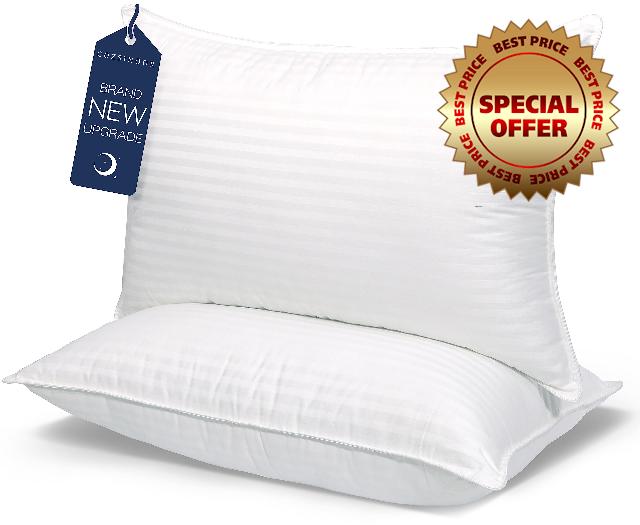 COZSINOOR Bed Pillows for Sleeping Queen Size Set of 2
