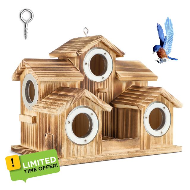 CEED4U Bird House