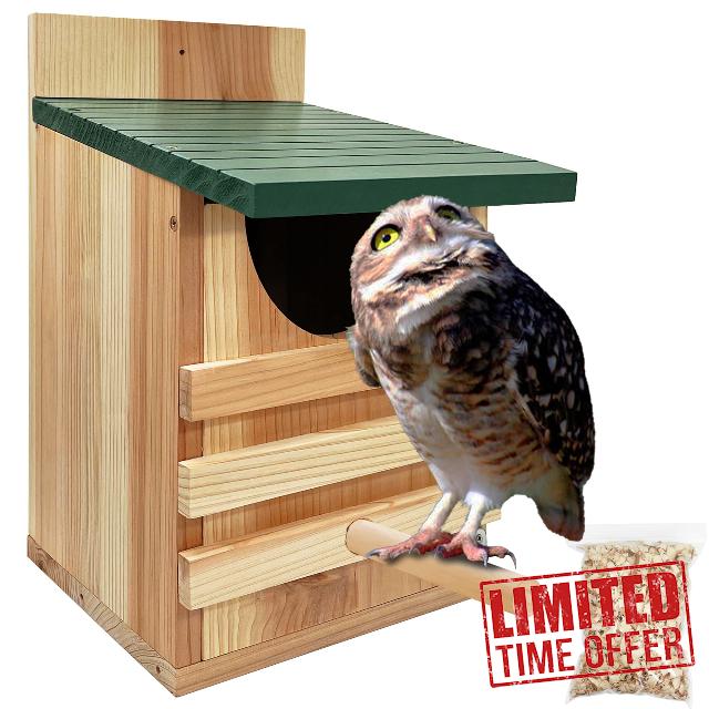Prolee Screech Owl House Hand Made with Bird Stand Design