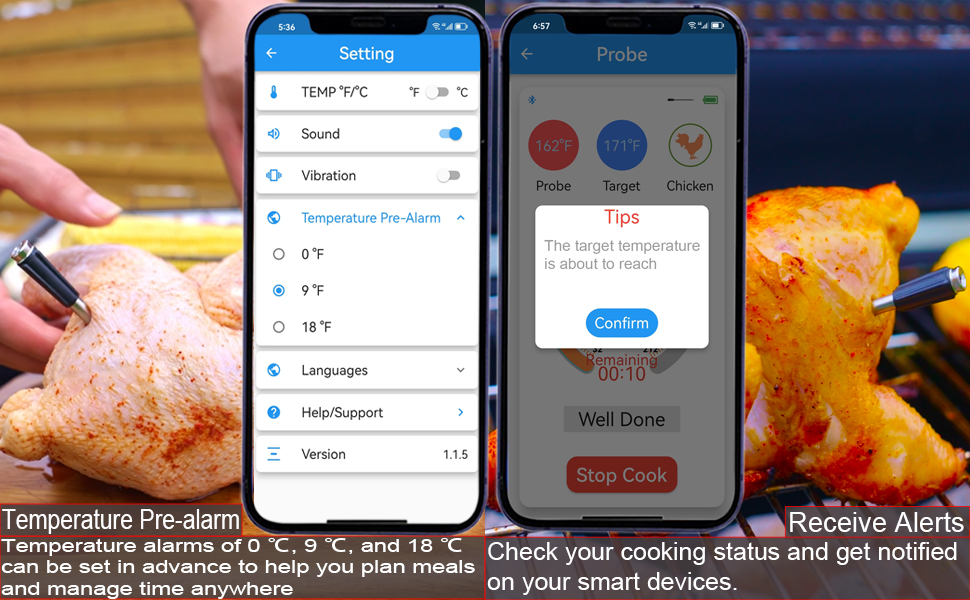 Smart Wireless Meat Thermometer