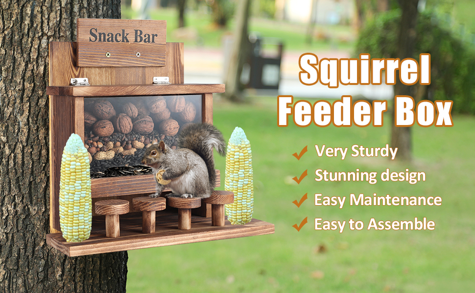 squirrel feeder