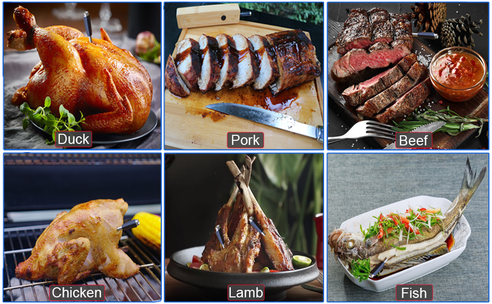 Wireless Meat Thermometer
