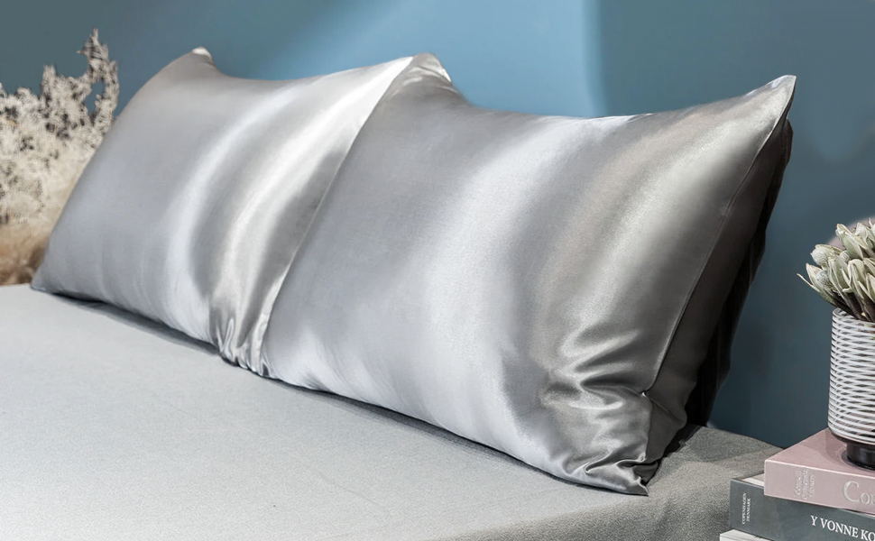 queen size pillows set of 2