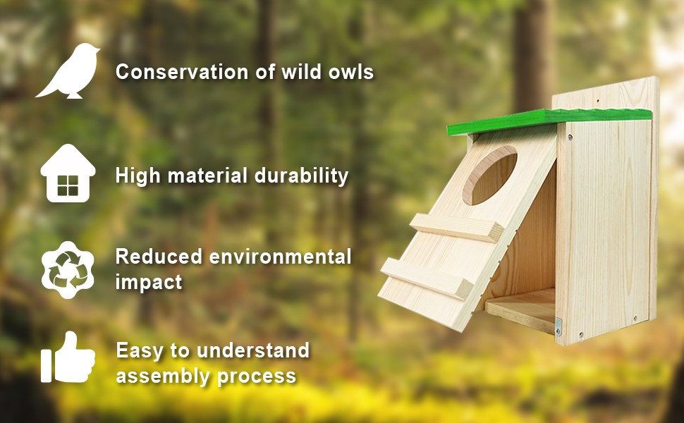 owl house staff