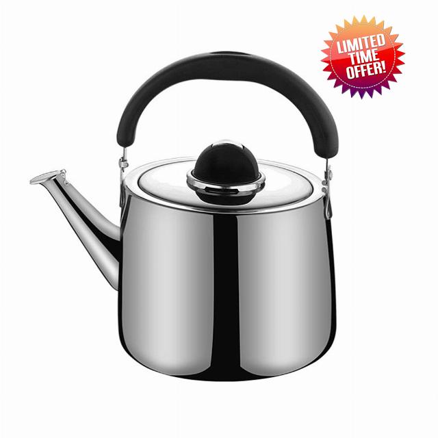 Whistling Tea Kettle for Stove To Stainless Steel Stovetop Tea Kettle with Ergonomic Handle Tea Pot for Home and Office (Size : 2L)