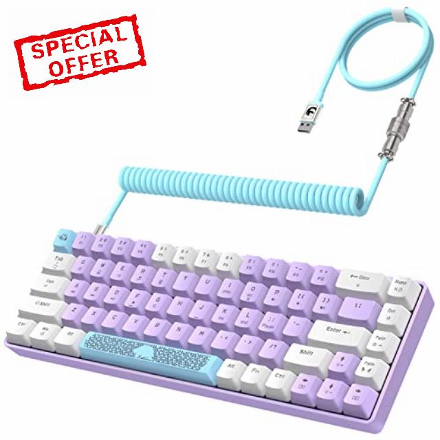 ZIYOU LANG RK-T8 Wired 65% Mechanical Gaming Keyboard with RGB LED Backlit Anti-ghosting TKL Mini 68 Key Custom Coiled C to A Cable Tactile Blue Switch for PS4 PS5 Xbox PC Mac Gamer(Lavender)