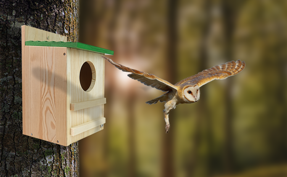 owl house