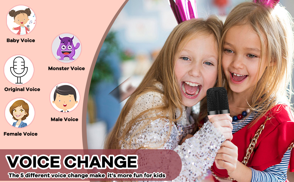 Karaoke speaker