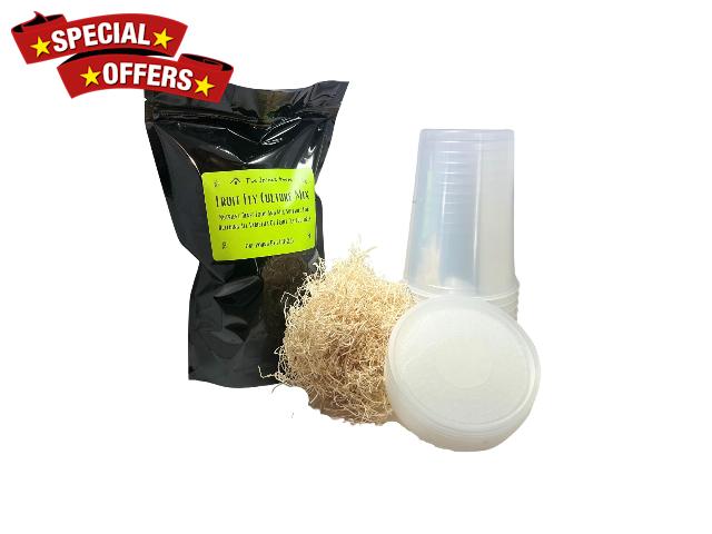 Fruit Fly Culture Kit 10ct