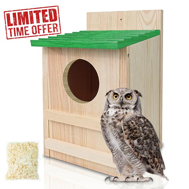 Screech Owl House