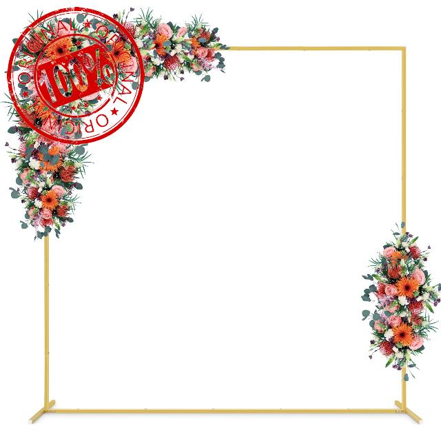 6.6FT Gold Backdrop Stand