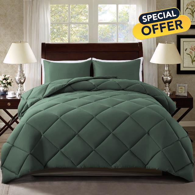 ELNIDO QUEEN Queen Comforter Set - Green All Seasons Bedding Comforters & Sets with 2 Pillow Cases - 3 Pieces Bed Set - Down Alternative Comforter Set- Bedding Comforter Sets Queen Size (88x92 inch)