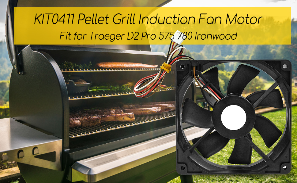 FAN MOTOR