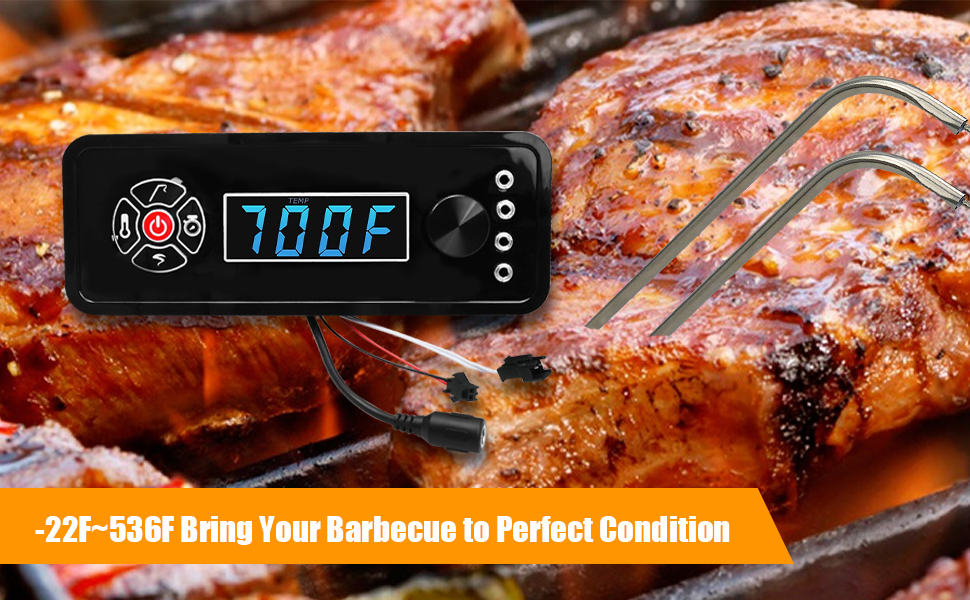 Digital Control Panel and Meat Probe