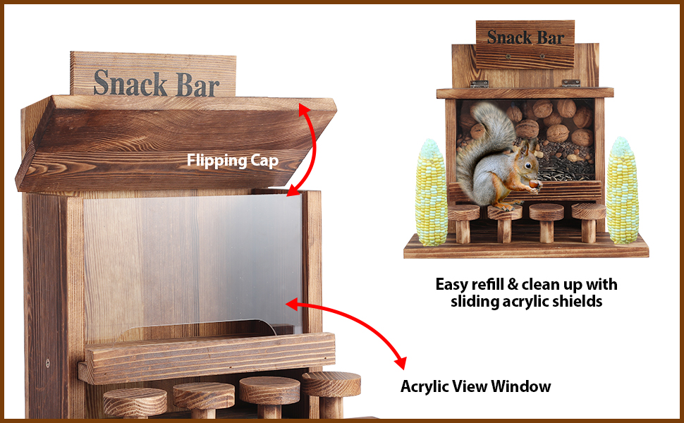 Squirrel Feeders for Outside