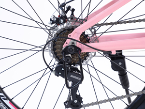 rear derailleur