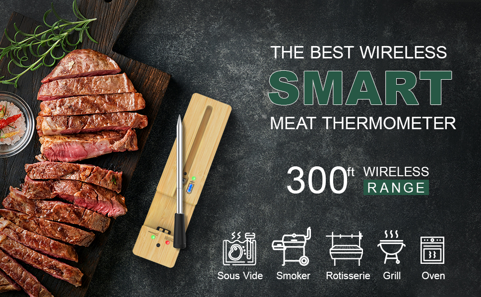 meat thermometer digital