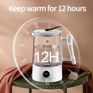 Electric kettle with LED indicator
