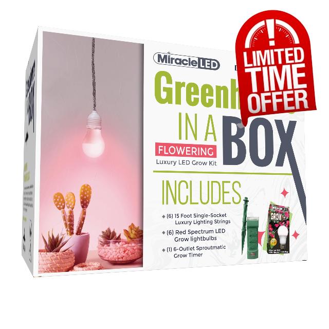 Miracle LED Greenhouse in a Box Designer Line Indoor Grow Kit - Includes Absolute Daylight Red Spectrum 100W Replacement Grow Bulb