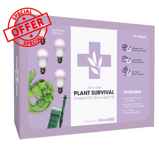 Miracle LED Plant Survival Indoor Grow Light Kit - 4 Multi-Plant Red & Blue Spectrum 150W Replacement Grow Light Bulbs & 1 4-Socket Corded Fixture with SproutMatic Timer (6-Pack)
