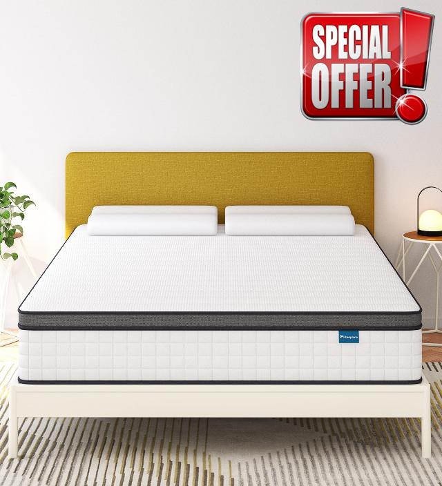 elitespace Queen Mattresses