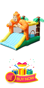 Inflatable Bounce House