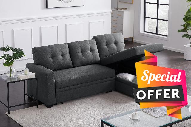 Livavege Convertible Sleeper Sectional Sofa with Storage Chaise and Pull-Out Bed