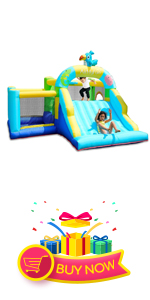 Inflatable Bounce House