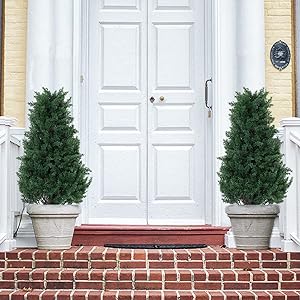 artificial outdoor trees