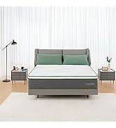 Queen Size Mattress, Novilla 12 Inch Hybrid Pillow Top Queen Mattress in a Box with Gel Memory Fo...
