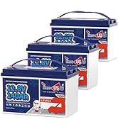 Timeusb 2 Pack 12V 140Ah LiFePO4 Battery, Built-in 100A BMS with Low Temp Cut Off, Up to 15000 Cy...