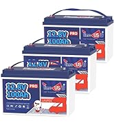 Timeusb 2 Pack 12V 100Ah Pro LiFePO4 Battery,Compact Lithium Battery Built-in100A BMS10-Year Life...