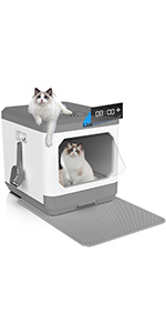 cat litter box