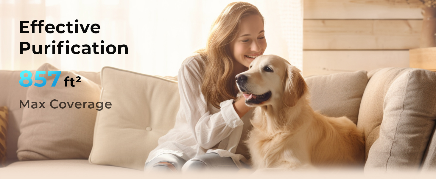 air purifier for home