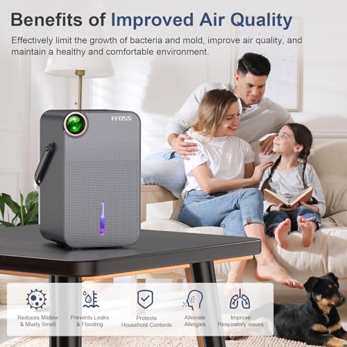 Dual Semiconductor Silent Dehumidifier