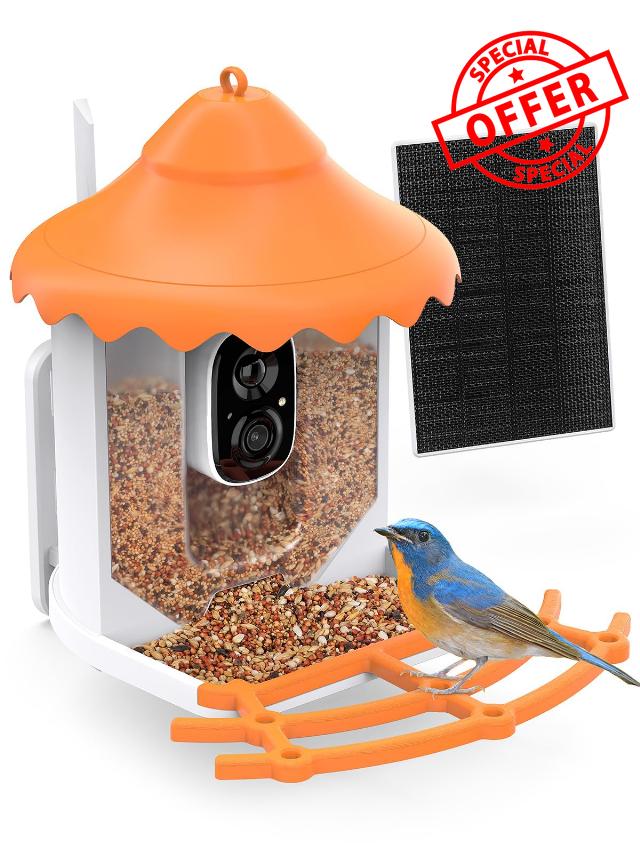Smart Bird Feeder Camera with AI Identify Bird Species
