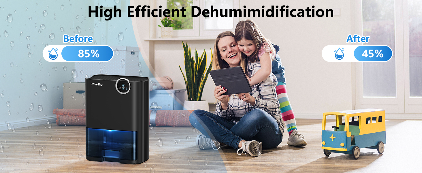 Dehumidifier for Home