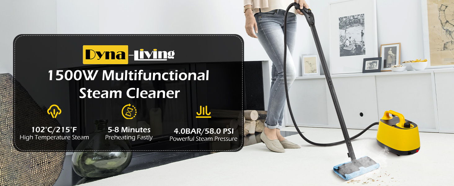 steam cleaner for home